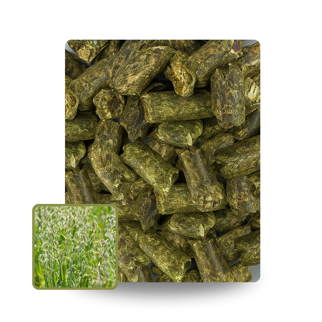 🌿 Esparsette Pellets