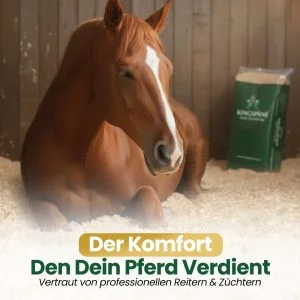 🌿 Esparsette Cobs